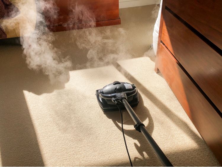 https://www.harveynorman.com.au/blog/assets/Euroflex-Vapour-M2R-Floor-Steam-Cleaner-on-carpet.jpg