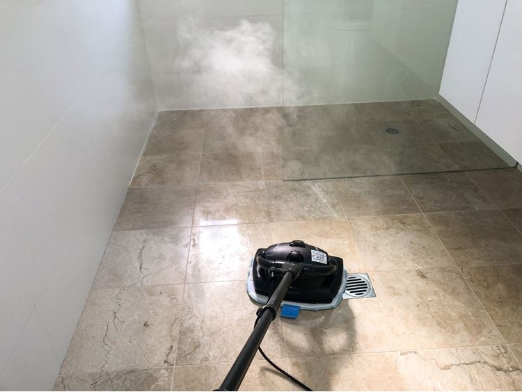 Euroflex M2R Ultra Dry Steam Upright Floor Steam Cleaner