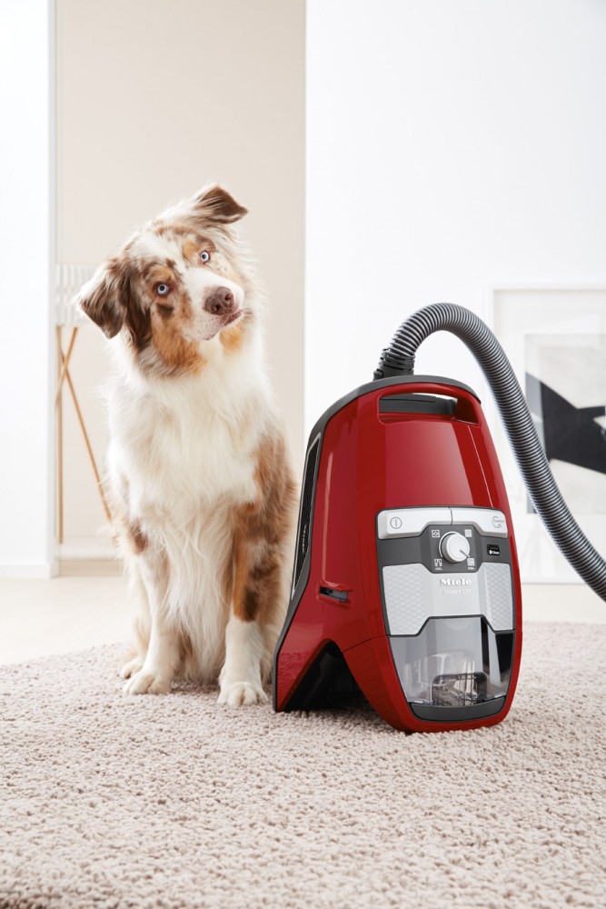 Miele Vacuum Cleaner Goes Bagless with the Blizzard Harvey Norman