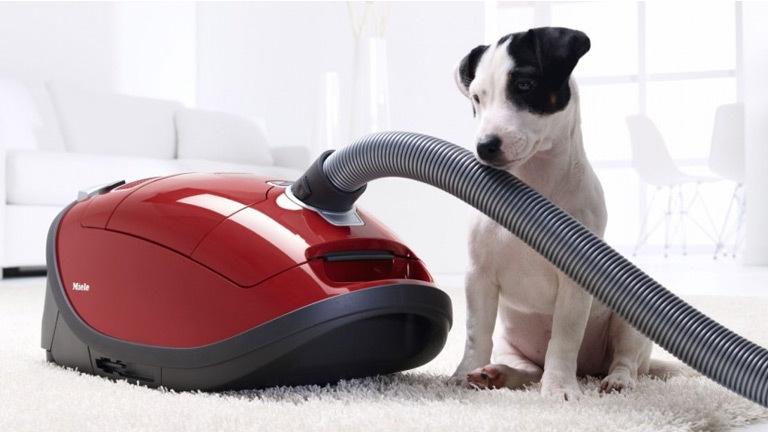 Air Treatment Buying Guide | Harvey Norman