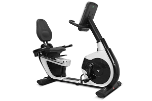 Lifespan Fitness RBX-100 Commerical Recumbent Bike